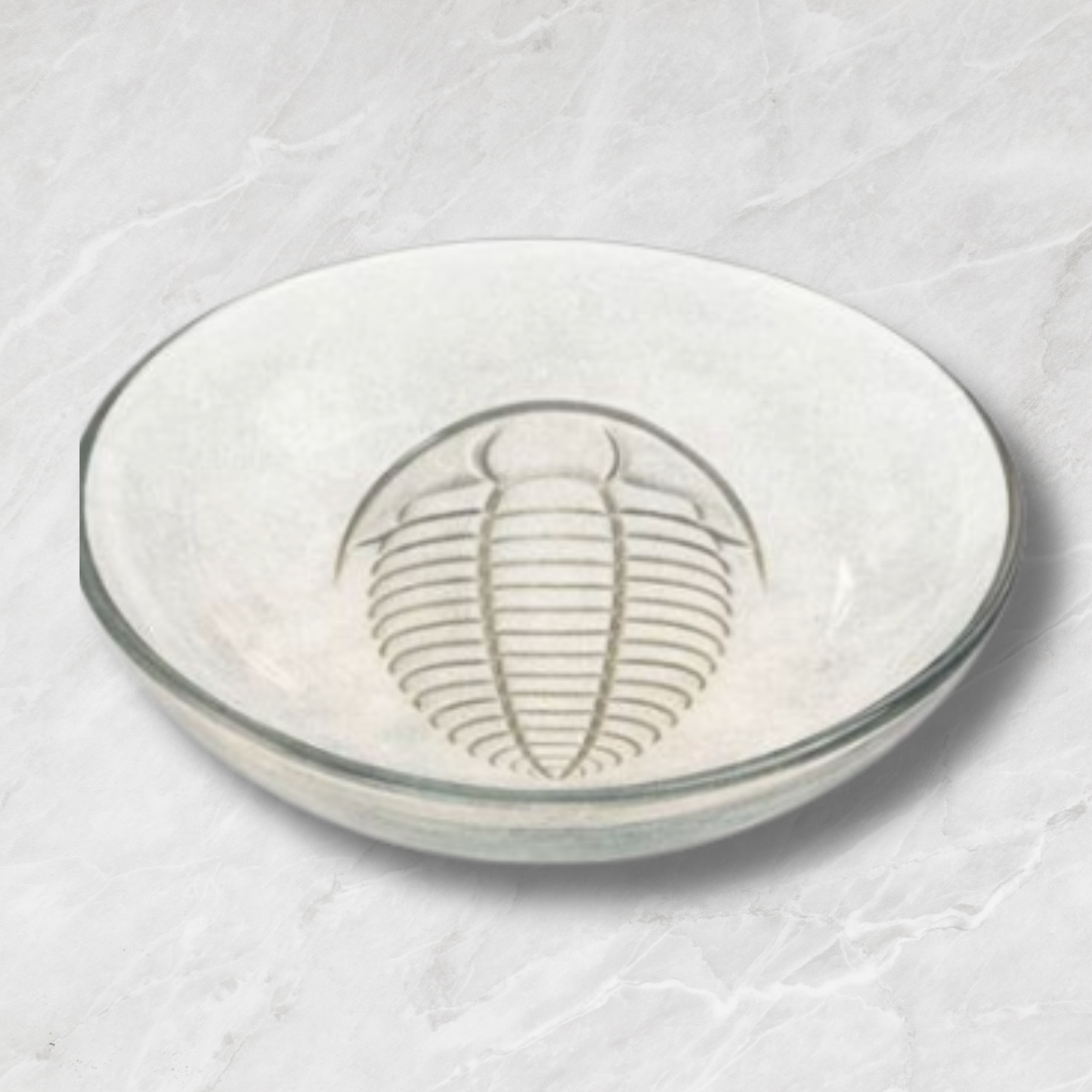Clear glass bowl with trilobite design on a textured white surface