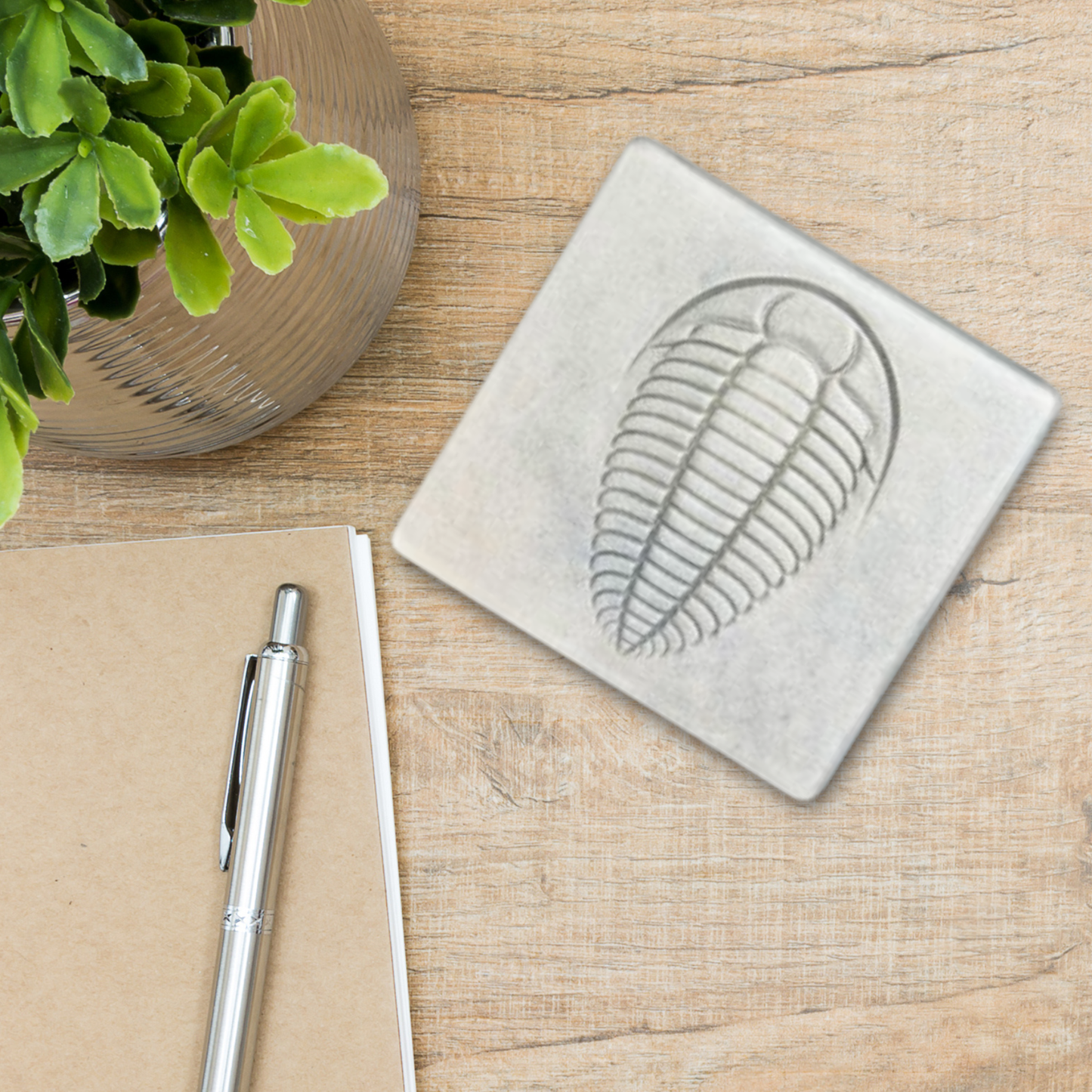 Glass coaster with trilobite design on a wooden surface with a pen and notebook.