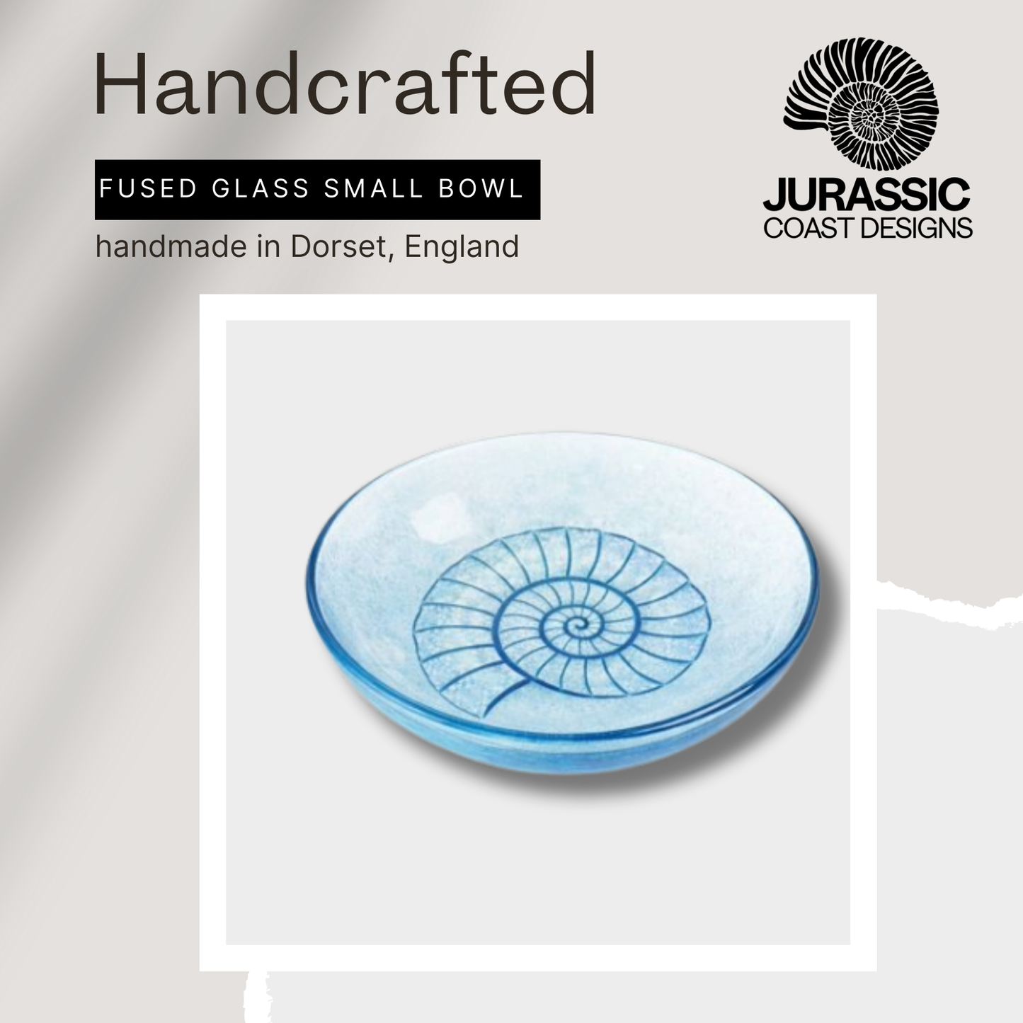 Handcrafted fused glass small bowl with ammonite design, branded 'Jurassic Coast Designs', on a light gray background.