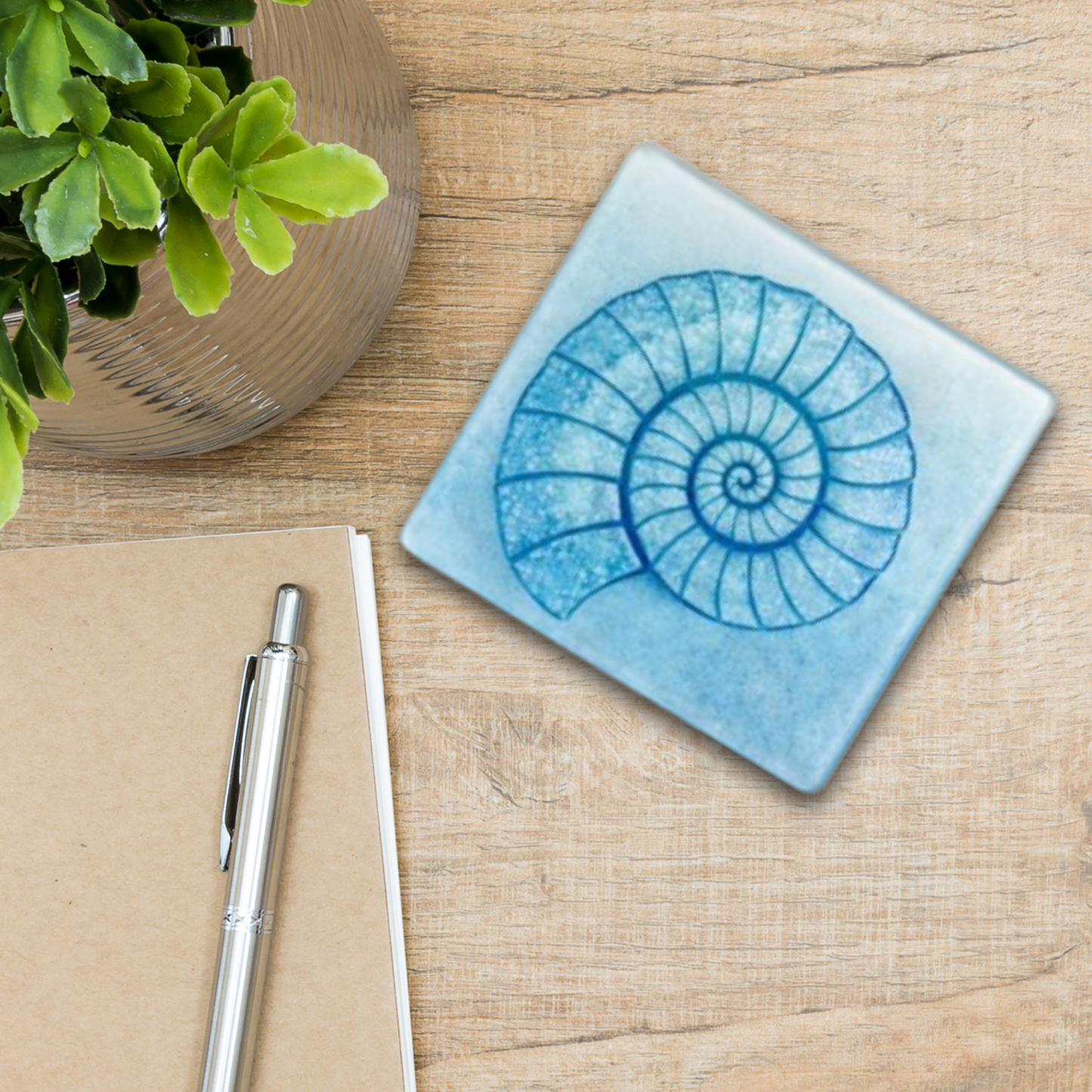 Ammonite Coaster