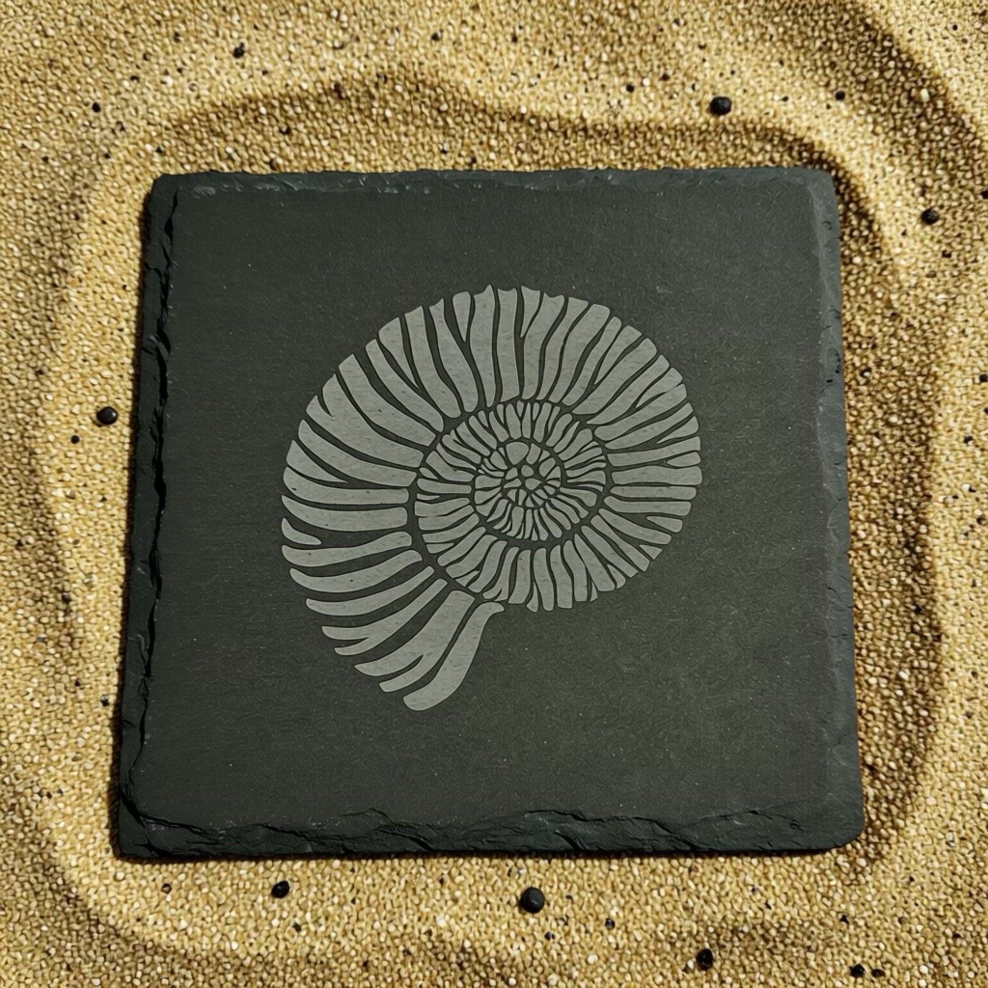 Slate coaster with ammonite fossil design on a sandy background