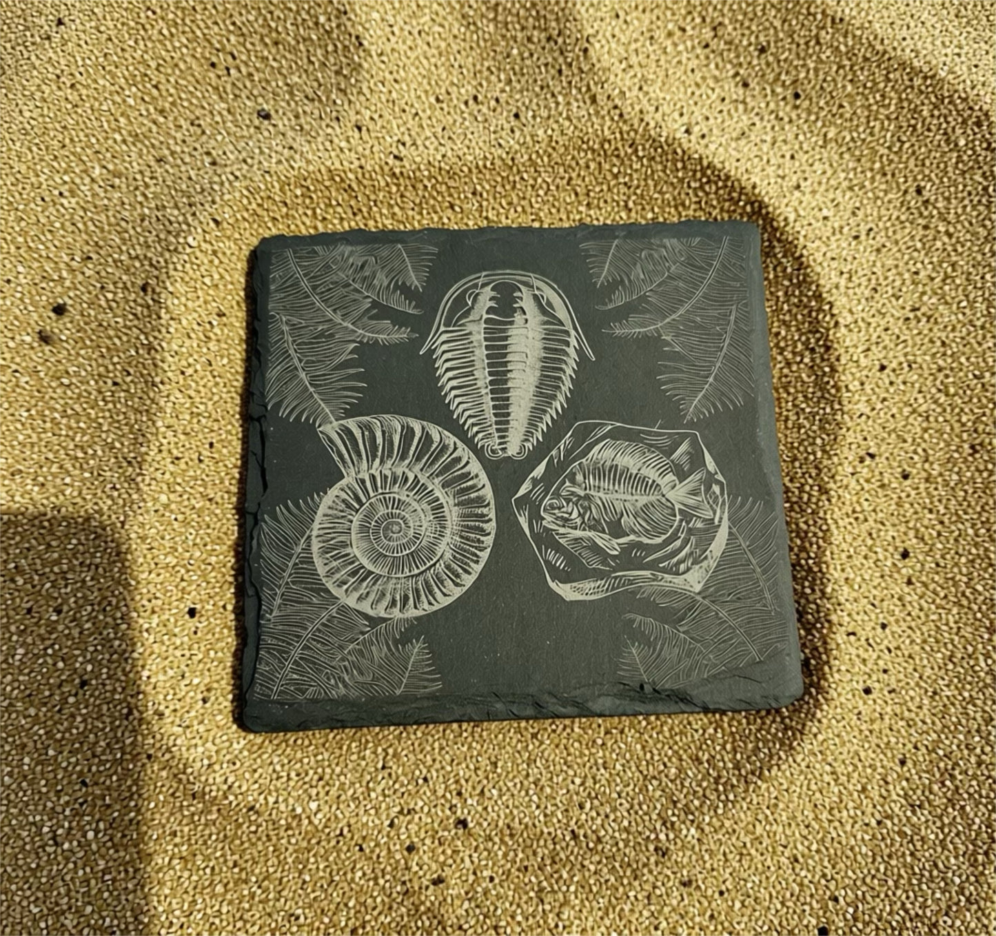 Etched in Slate: Coastal & Fossil Design Coasters