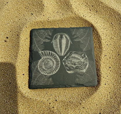 Etched in Slate: Coastal & Fossil Design Coasters