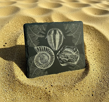 Decorative stone with fossil design on a sandy background
