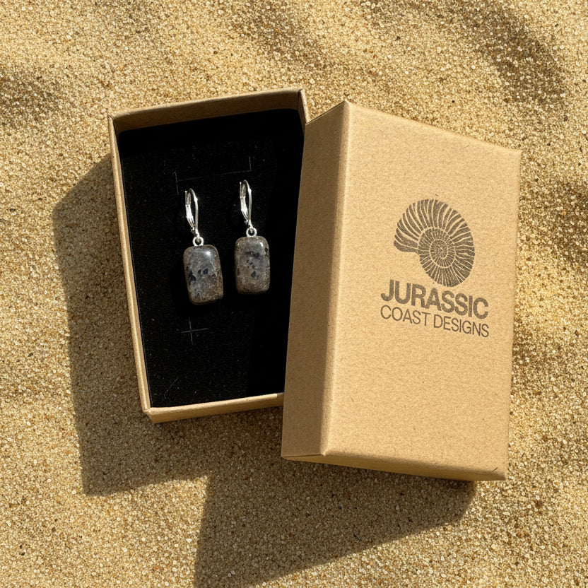 Sterling Silver and Agate Stone Earrings