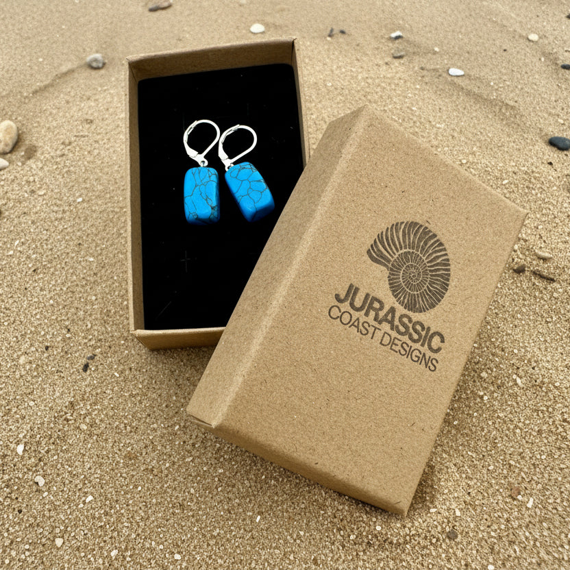 Blue earrings in a 'Jurassic Coast Designs' box on a light background
