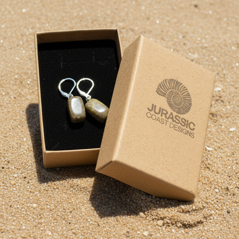 Earrings in a 'Jurassic Coast Designs' box on a light background