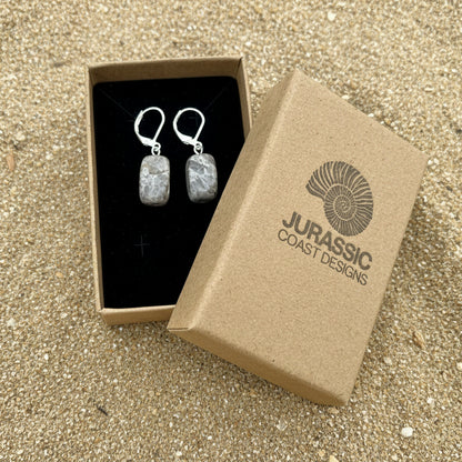 Earrings in a 'Jurassic Coast Designs' box on a light background