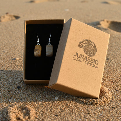 Jewelry box with 'Jurassic Coast Designs' branding containing stone earrings.