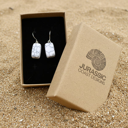 Earrings in a 'Jurassic Coast Designs' box on a white background