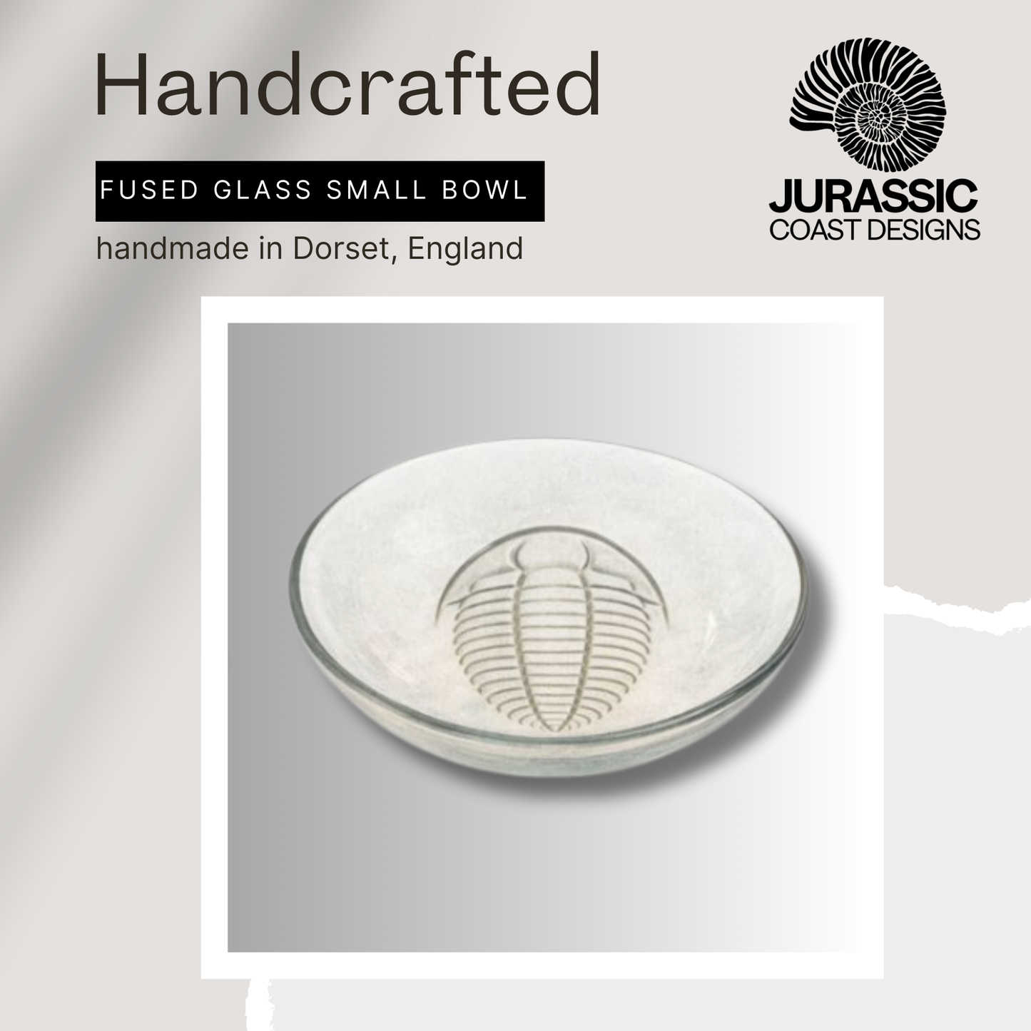 Handcrafted fused glass small bowl with trilobite design, branded as Jurassic Coast Designs.