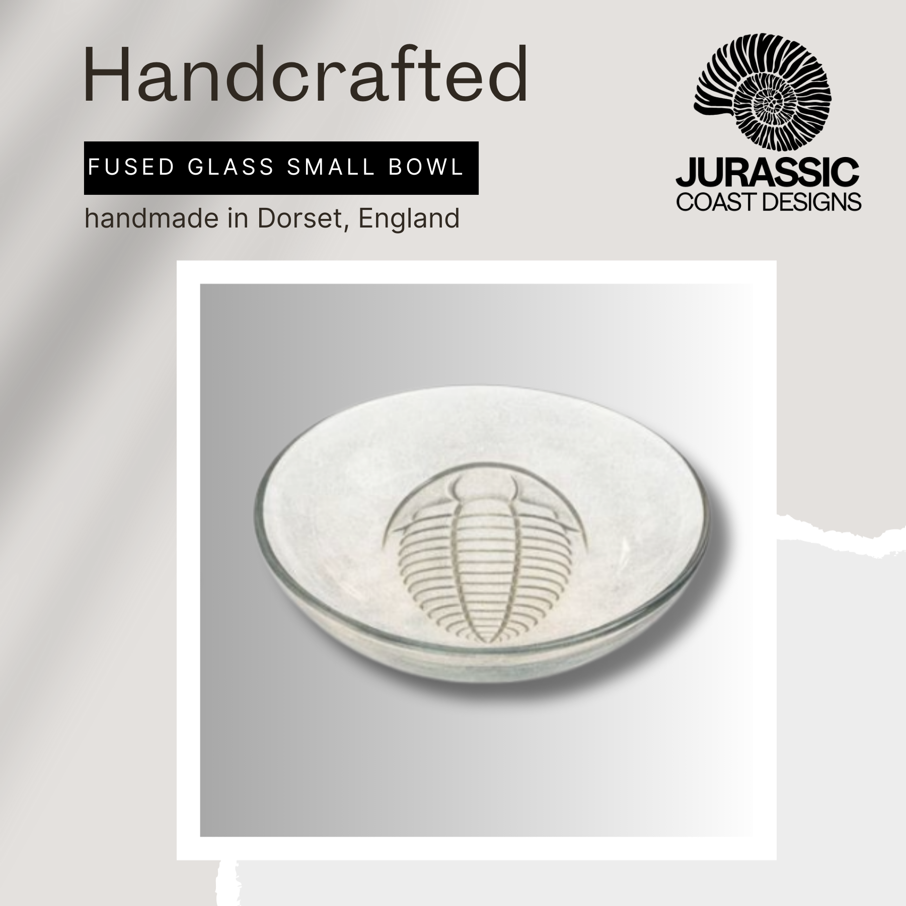 Handcrafted fused glass small bowl with trilobite design, branded as Jurassic Coast Designs.