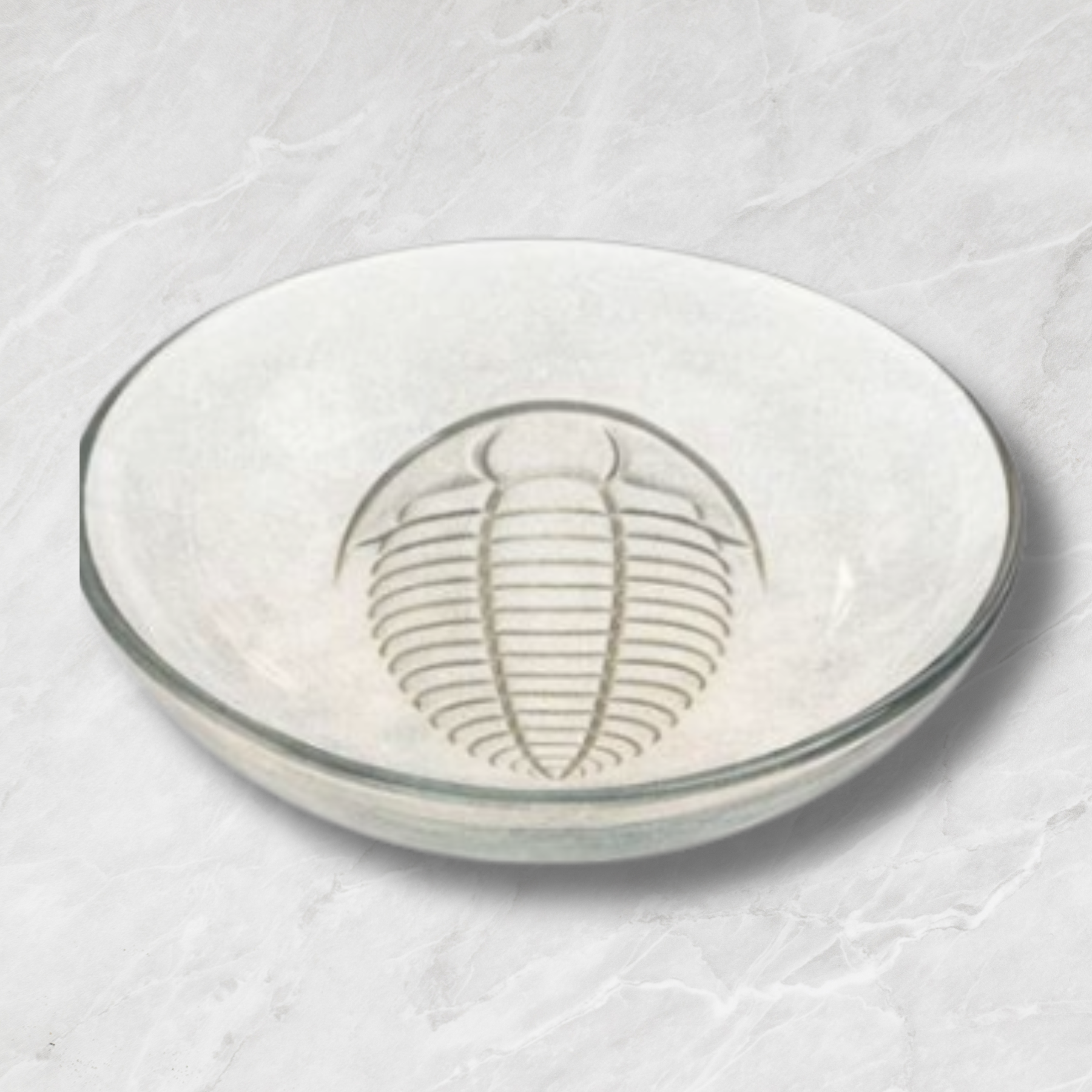 Clear glass bowl with trilobite design on a textured white surface