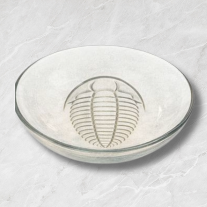 Clear glass bowl with trilobite design on a textured white surface